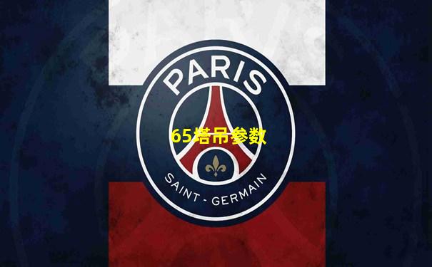 65塔吊参数