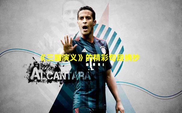 《三国演义》的精彩句段摘抄