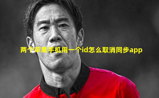 两个苹果手机用一个id怎么取消同步app