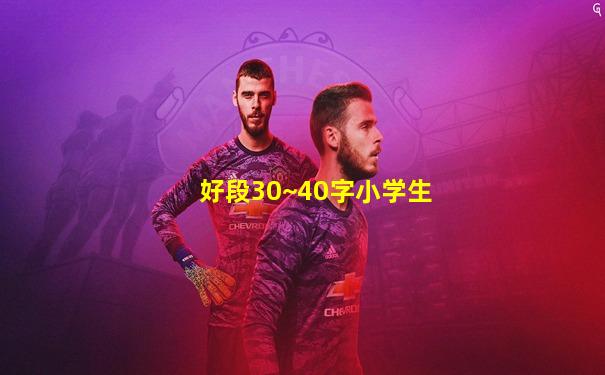 好段30~40字小学生