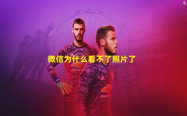 微信为什么看不了照片了