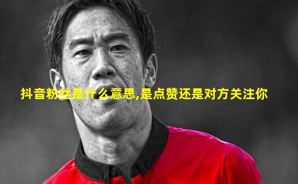 抖音粉丝是什么意思,是点赞还是对方关注你