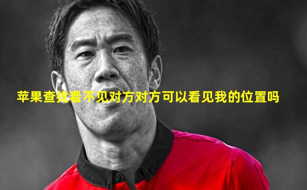 苹果查找看不见对方对方可以看见我的位置吗