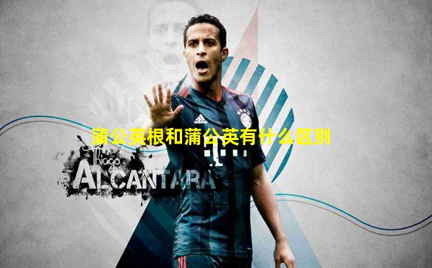 蒲公英根和蒲公英有什么区别