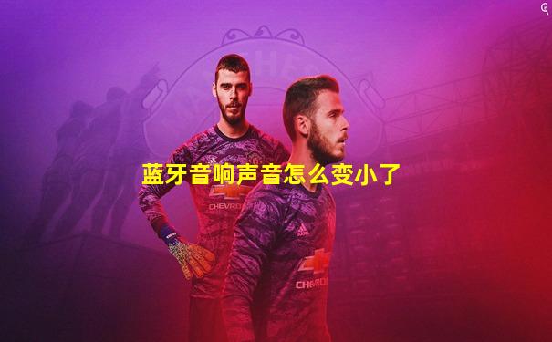 蓝牙音响声音怎么变小了