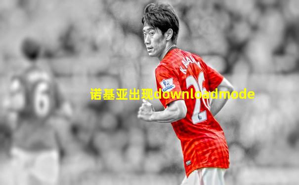 诺基亚出现downloadmode
