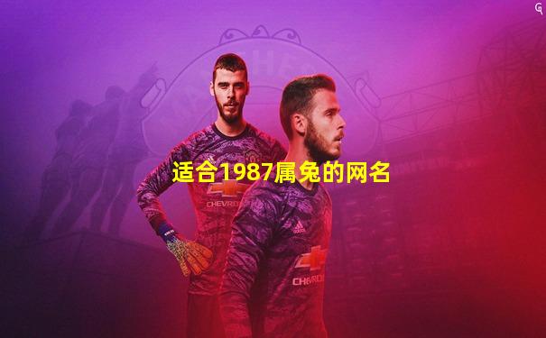 适合1987属兔的网名