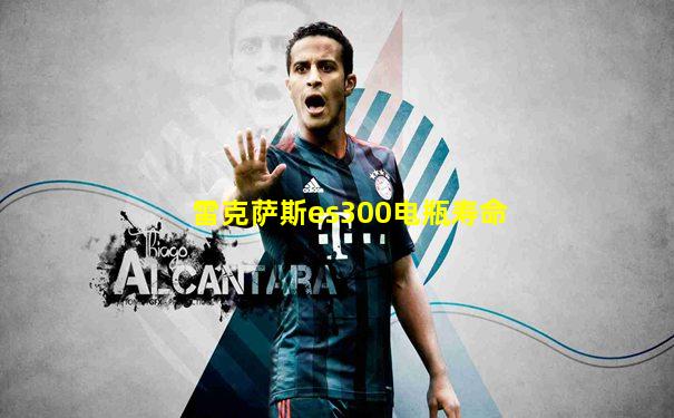 雷克萨斯es300电瓶寿命