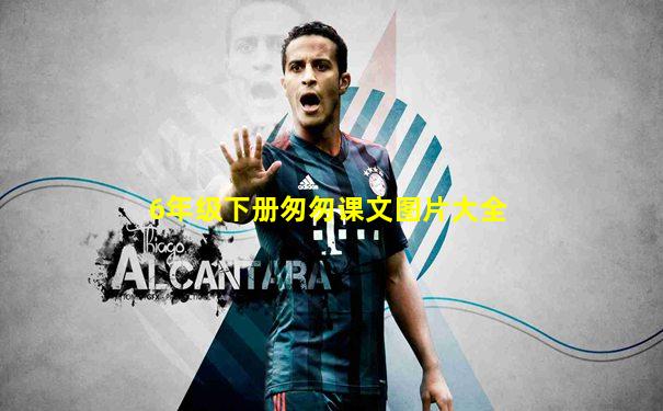 6年级下册匆匆课文图片大全