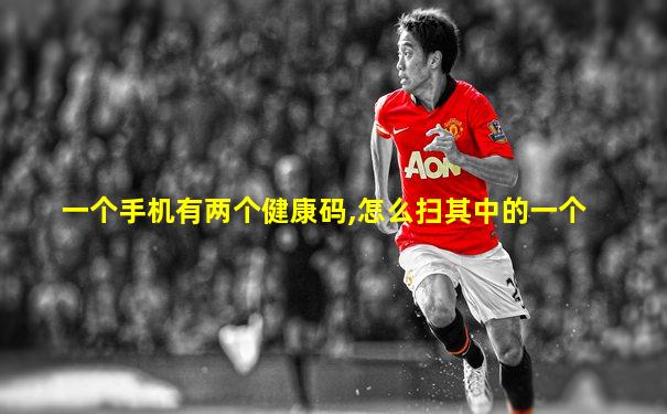 一个手机有两个健康码,怎么扫其中的一个