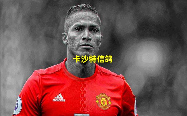 卡沙特信鸽