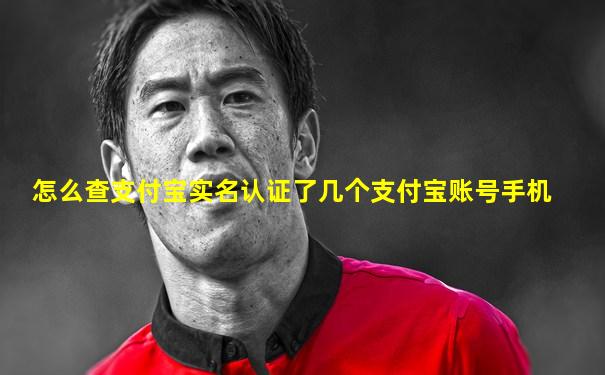 怎么查支付宝实名认证了几个支付宝账号手机