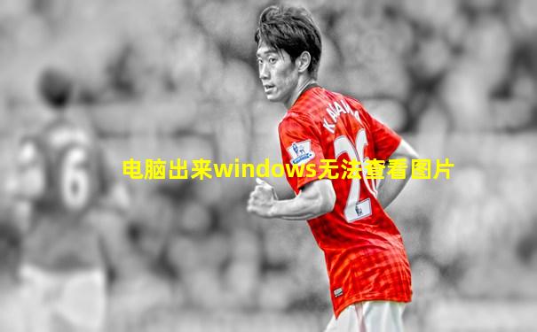 电脑出来windows无法查看图片