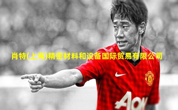 肖特(上海)精密材料和设备国际贸易有限公司