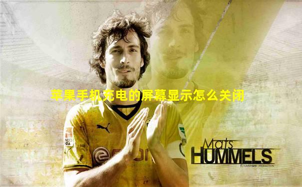 苹果手机充电的屏幕显示怎么关闭