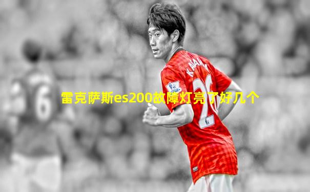 雷克萨斯es200故障灯亮了好几个