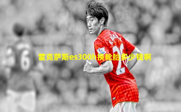 雷克萨斯es300h换轮胎多少钱啊